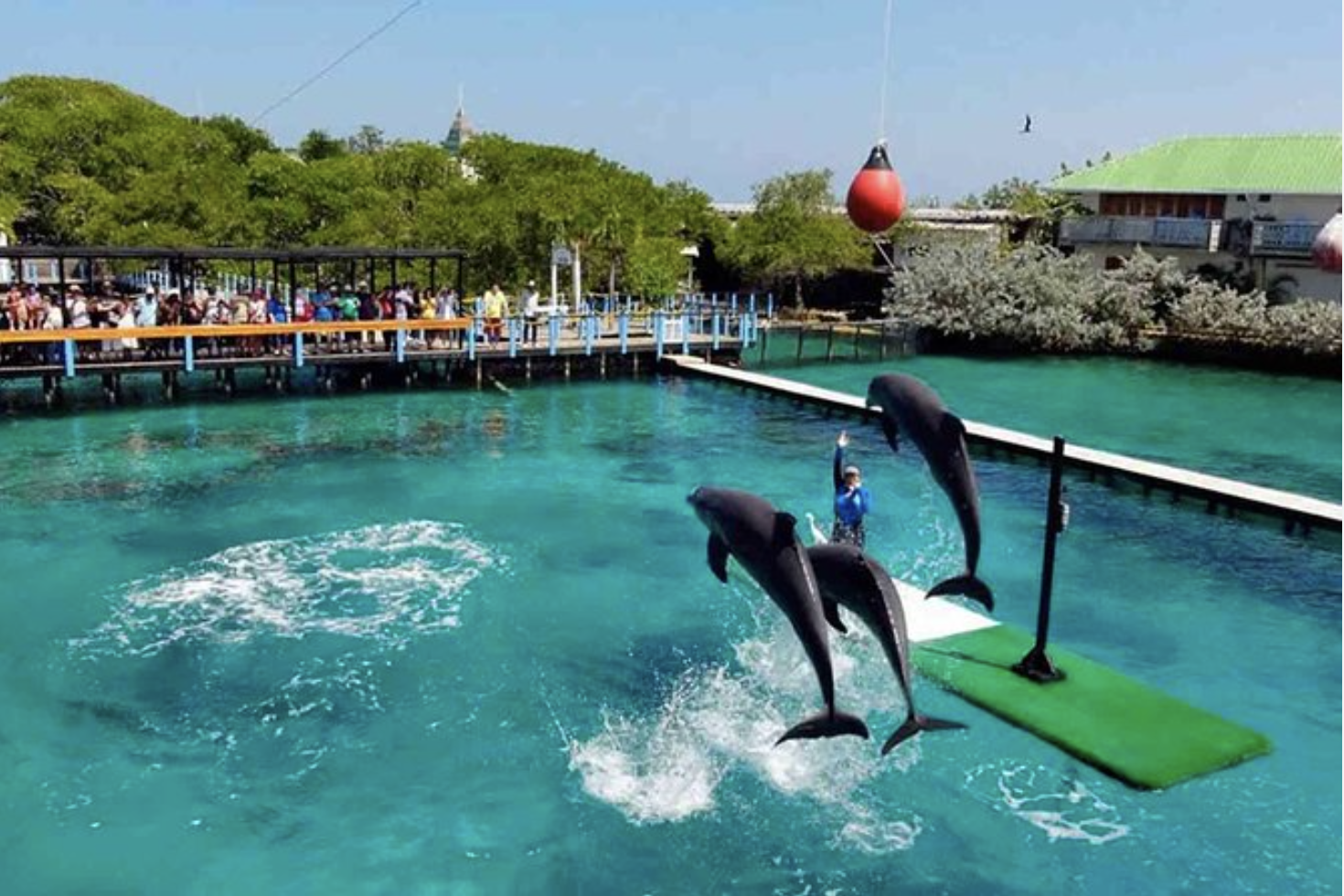 acuario